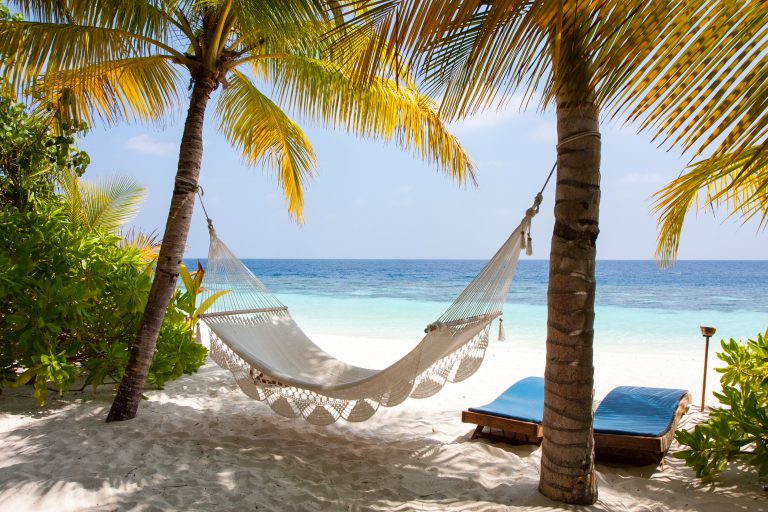 Maldive Amaca Tra Le Palme